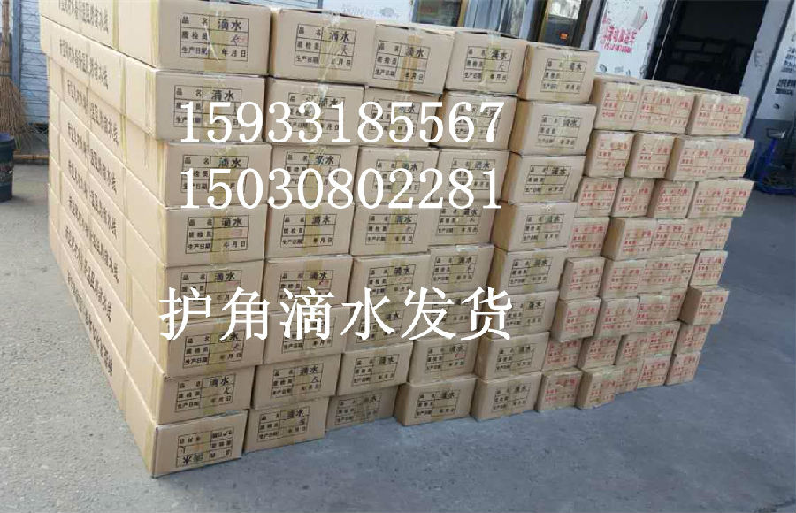 IMG_7252_副本 IMG_7252_副本